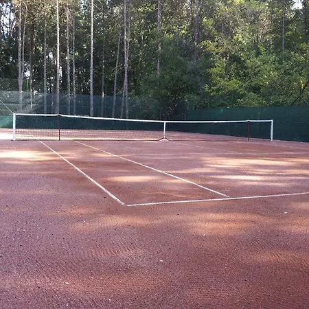 Fenyves 3*